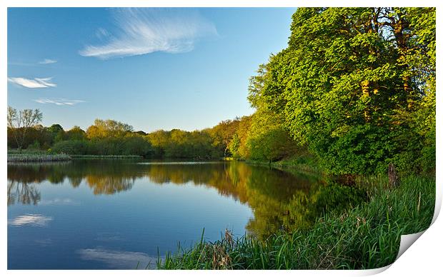 Lake reflections Print by Dave Evans