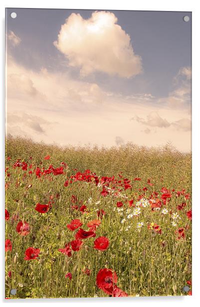 Poppy field, Eynsford, Kent Acrylic by Dawn Cox