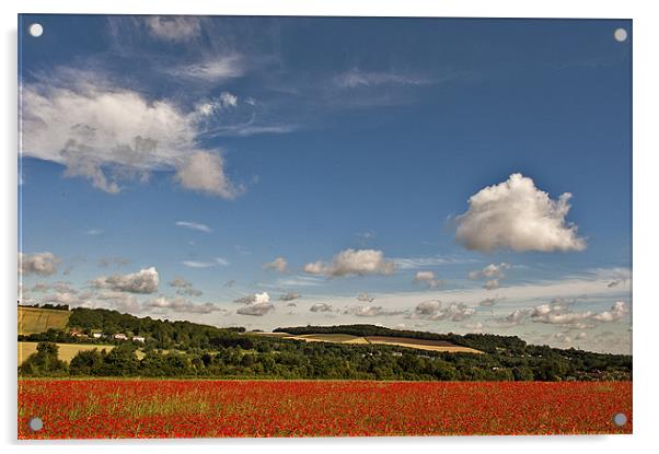 Kent Poppy Field Acrylic by Dawn Cox