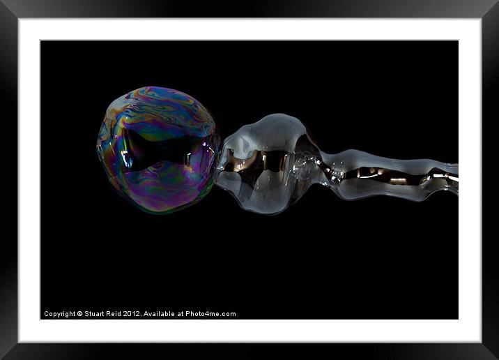 Bubble56 Framed Mounted Print by Stuart Reid