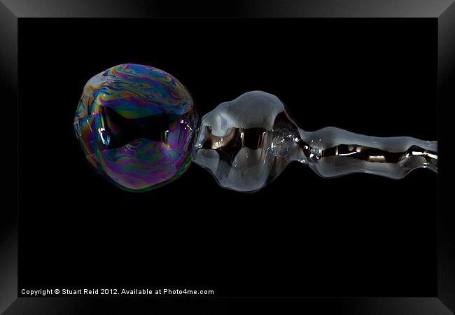 Bubble56 Framed Print by Stuart Reid