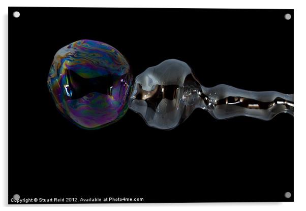 Bubble56 Acrylic by Stuart Reid