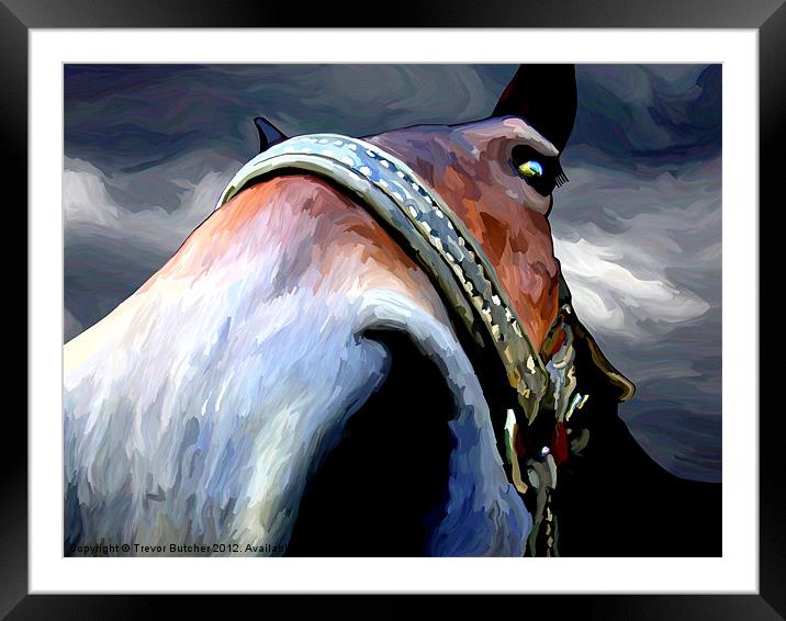Storm Horse Framed Mounted Print by Trevor Butcher