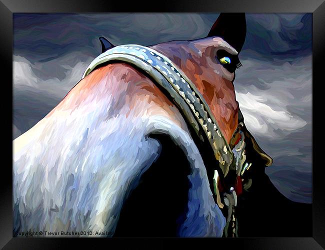 Storm Horse Framed Print by Trevor Butcher