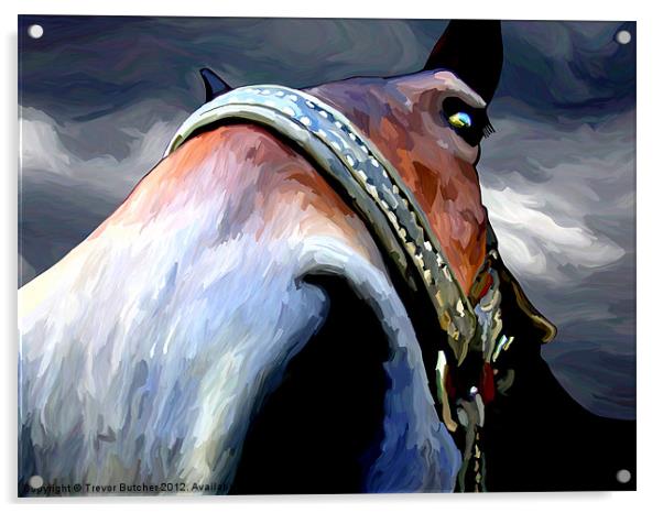 Storm Horse Acrylic by Trevor Butcher