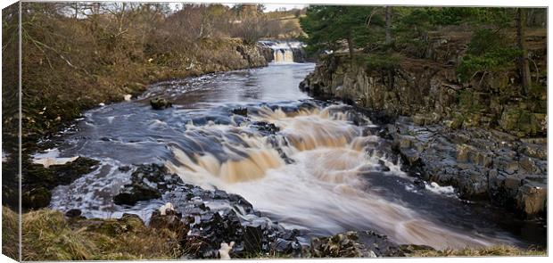 Low Force Canvas Print by Dave Evans