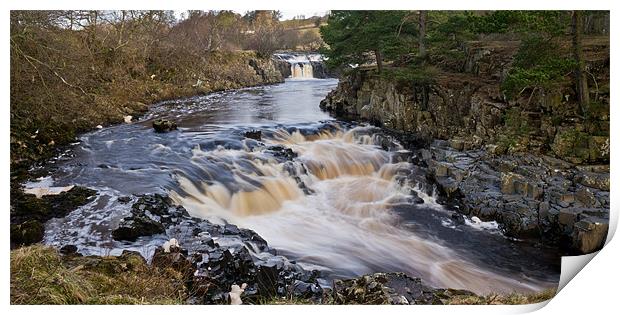 Low Force Print by Dave Evans