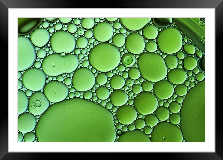 Lime Green Oil Framed Mounted Print by Kevin Tate