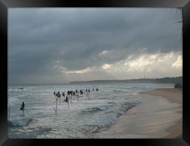 Sri Lanka, stilt fishermen, storm Framed Print by Christopher Mullard