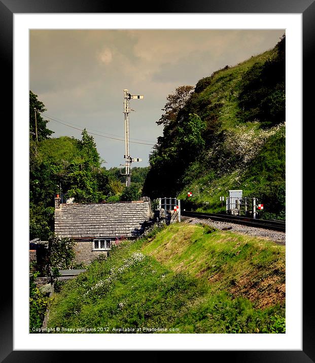 Swanage Steam Railway Line Framed Mounted Print by Linsey Williams