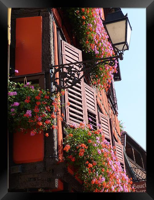 Alsace, France, window box flowers Framed Print by Christopher Mullard