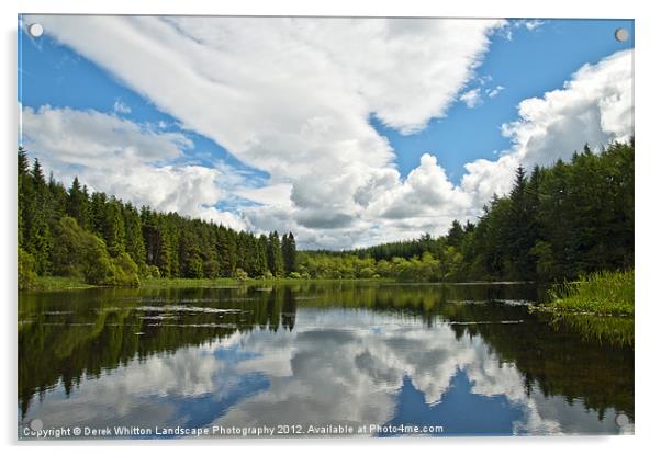Woodland Loch Reflections Acrylic by Derek Whitton