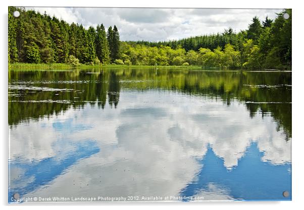 Woodland Loch Reflections 2 Acrylic by Derek Whitton