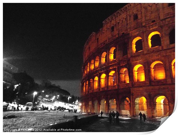 Colosseum, Rome Print by Tom Hard