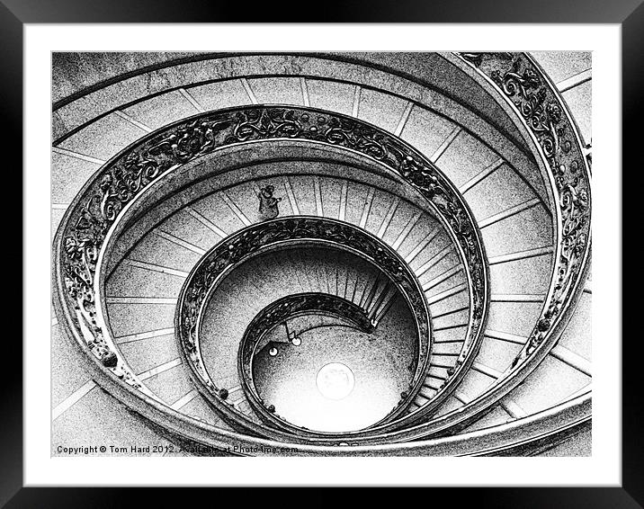 Spiral Staircase at The Vatican Framed Mounted Print by Tom Hard