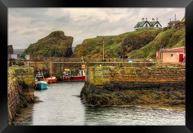 The Harbour at St Abbs Framed Print by Tom Gomez