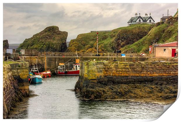 The Harbour at St Abbs Print by Tom Gomez