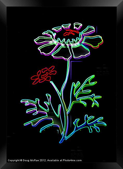 Neon Framed Print by Doug McRae