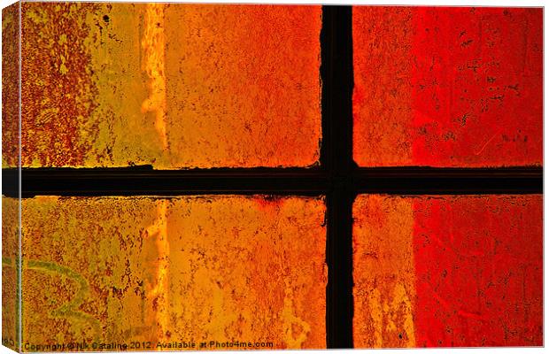 Red Glass Canvas Print by Nik Catalina