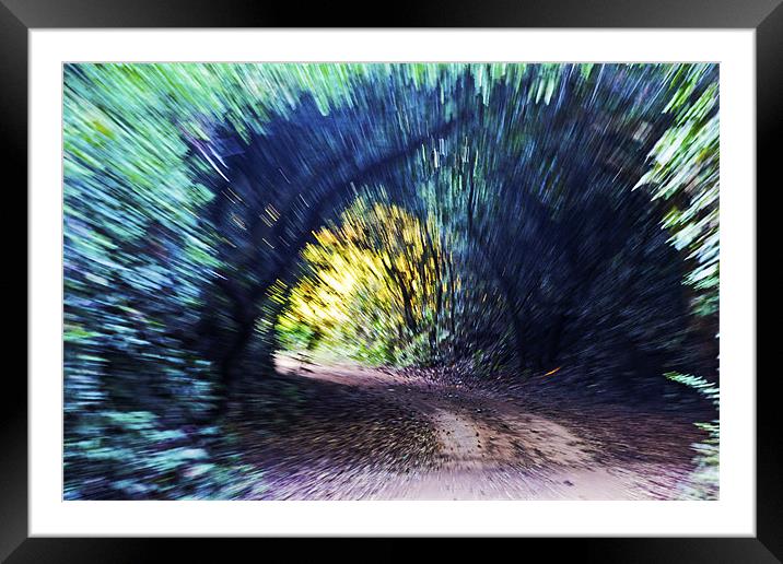 Motion Blue Tree Tunnel Framed Mounted Print by Arfabita  