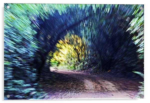 Motion Blue Tree Tunnel Acrylic by Arfabita  