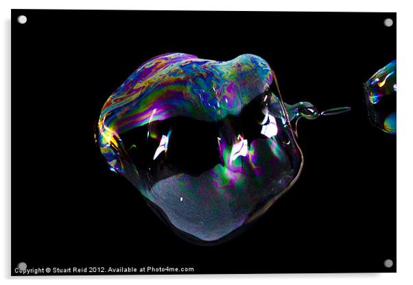 Bubble21 Acrylic by Stuart Reid