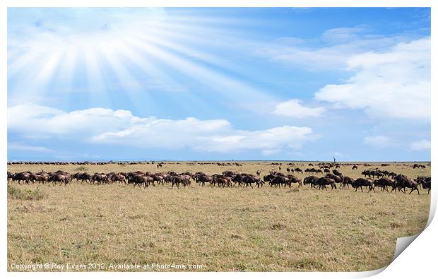 Heaven over Africa Print by Roy Evans