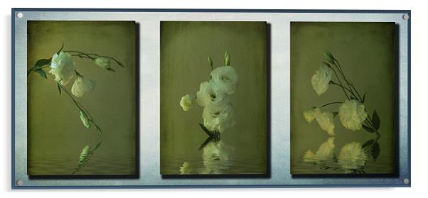 Lisianthus Triptych Acrylic by Debra Kelday