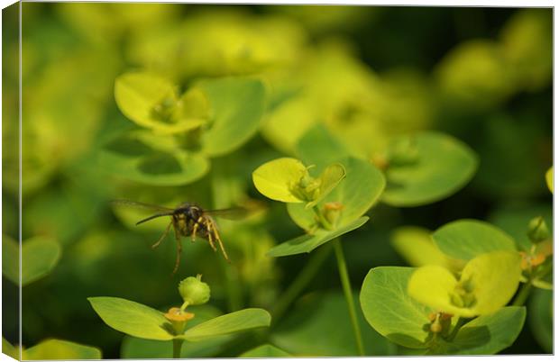 To infinity and beyond! Canvas Print by Maria Tzamtzi Photography