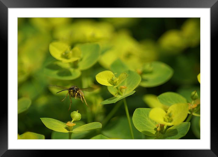 To infinity and beyond! Framed Mounted Print by Maria Tzamtzi Photography