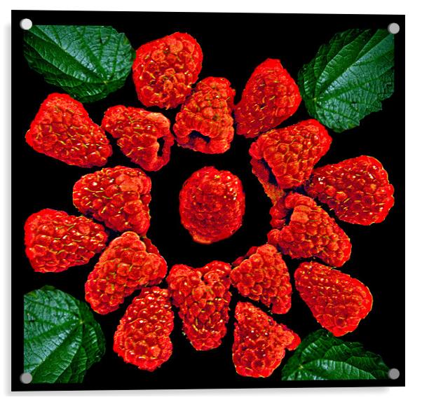 English Raspberries Acrylic by Derek Vines