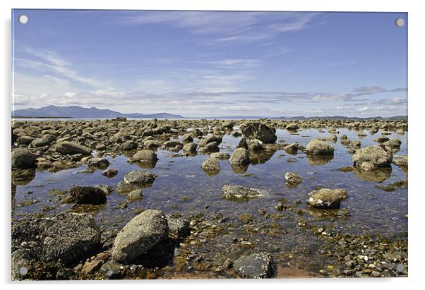 Rocky Scottish Beach Acrylic by Buster Brown