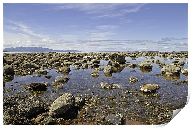 Rocky Scottish Beach Print by Buster Brown