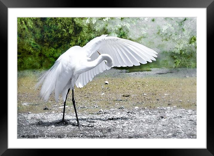 I Know its Under Here Somewhere Framed Mounted Print by Elaine Manley