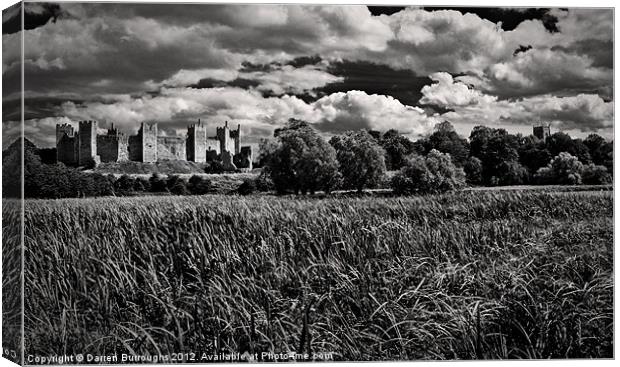 Castles, Cows and Church Canvas Print by Darren Burroughs