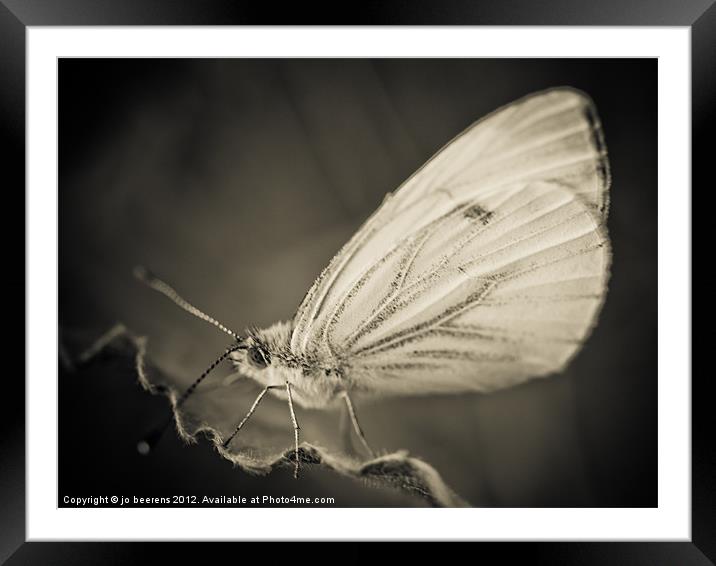 living on the edge Framed Mounted Print by Jo Beerens