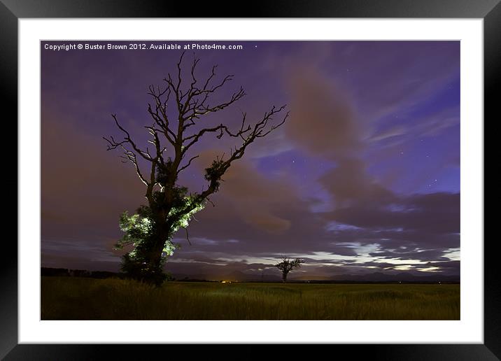 Night Time Tree Framed Mounted Print by Buster Brown