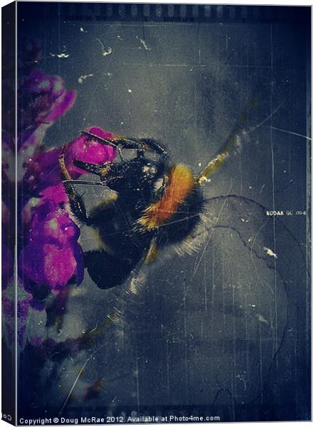 Bee Canvas Print by Doug McRae