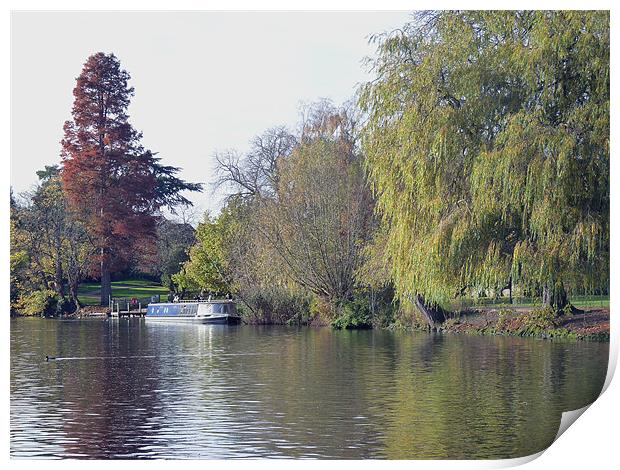 River Avon Print by Tony Murtagh