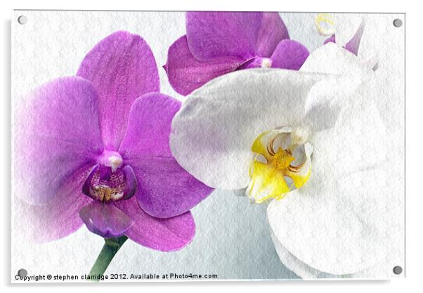 Purple and white orchids textured Acrylic by stephen clarridge