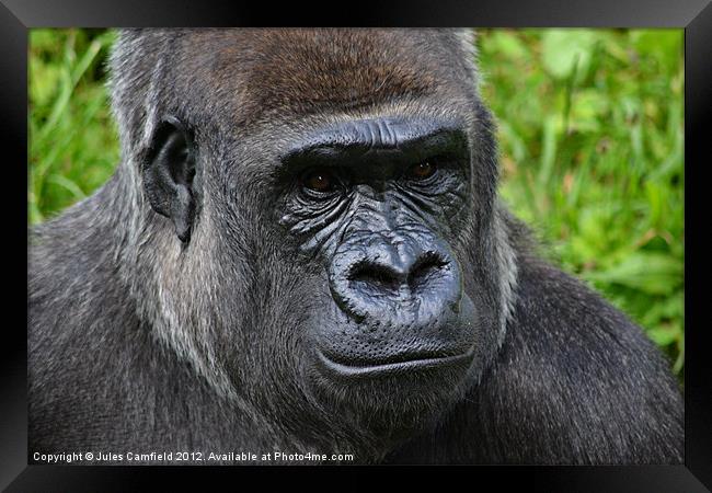 The Thinker Framed Print by Jules Camfield