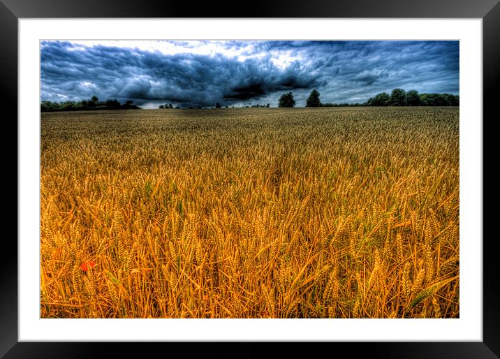 Fields of Gold Framed Mounted Print by Dean Messenger