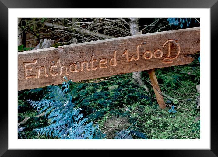 Enchanted wood Framed Mounted Print by chantelle devlin