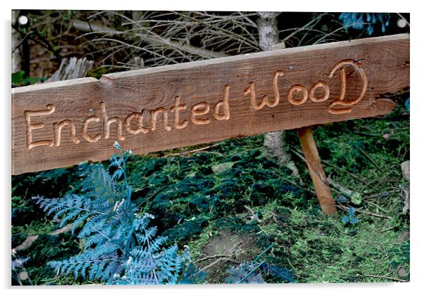 Enchanted wood Acrylic by chantelle devlin