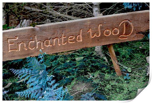 Enchanted wood Print by chantelle devlin