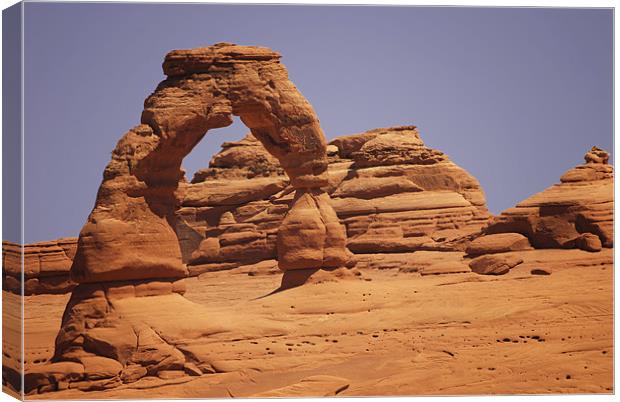 Delicate Arch Canvas Print by Mary Lane