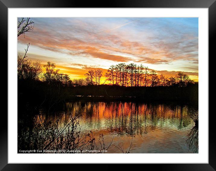 Early winer sunrise Framed Mounted Print by Sue Bottomley