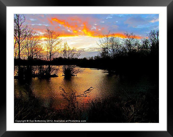 Early winter sunrise Framed Mounted Print by Sue Bottomley