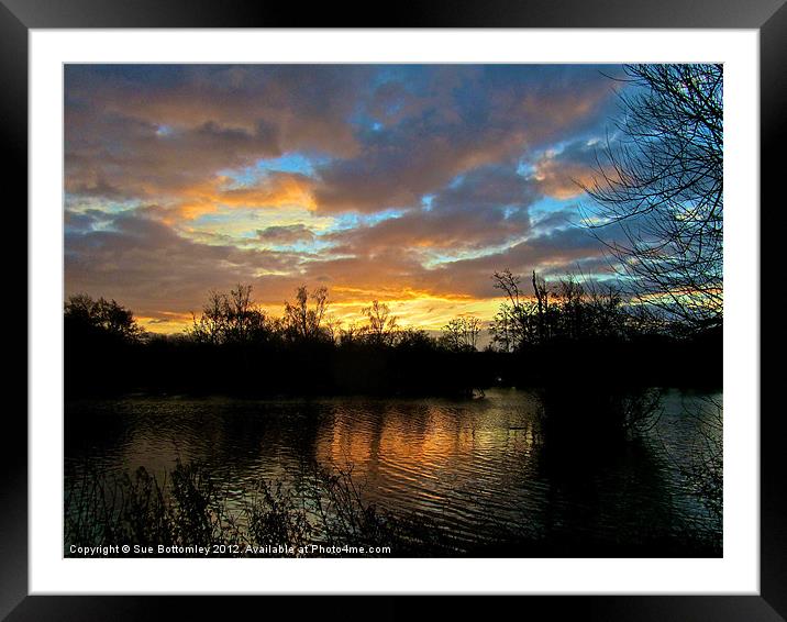 Hertfordshire sunrise Framed Mounted Print by Sue Bottomley