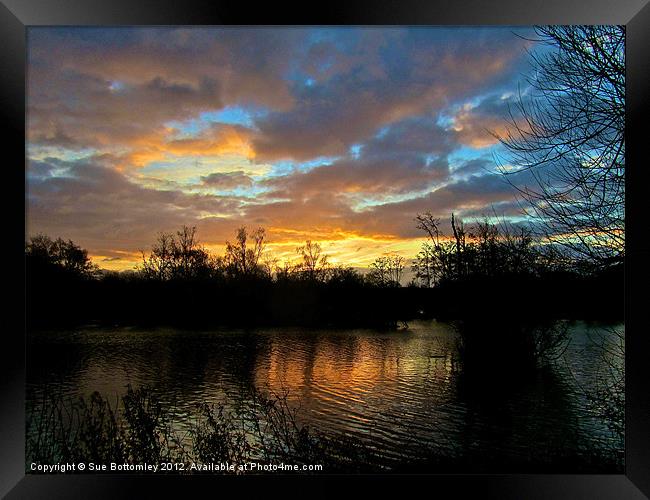 Hertfordshire sunrise Framed Print by Sue Bottomley